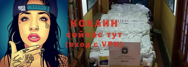 прущие крисы Гвардейск