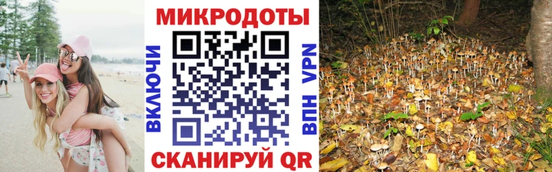 Псилоцибиновые грибы мухоморы  Еманжелинск 
